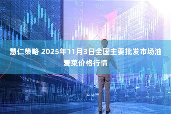 慧仁策略 2025年11月3日全国主要批发市场油麦菜价格行情