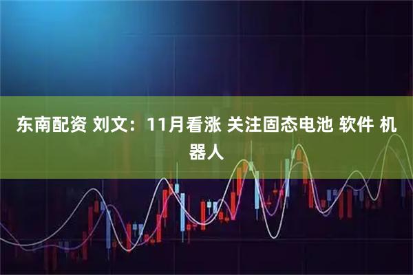 东南配资 刘文：11月看涨 关注固态电池 软件 机器人