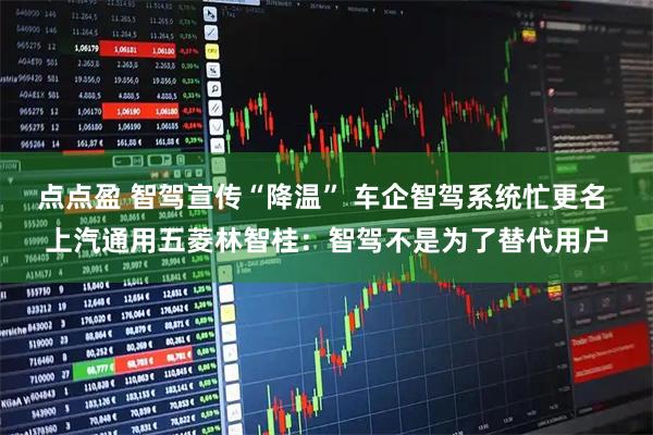 点点盈 智驾宣传“降温” 车企智驾系统忙更名 上汽通用五菱林智桂：智驾不是为了替代用户