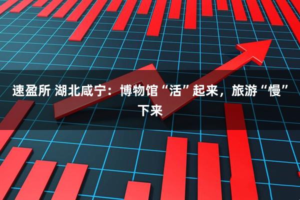 速盈所 湖北咸宁：博物馆“活”起来，旅游“慢”下来